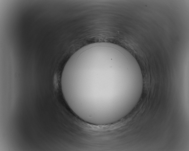 X0000089890038200706281119