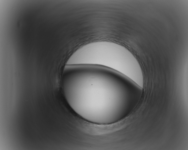 X0000089890039200706281119