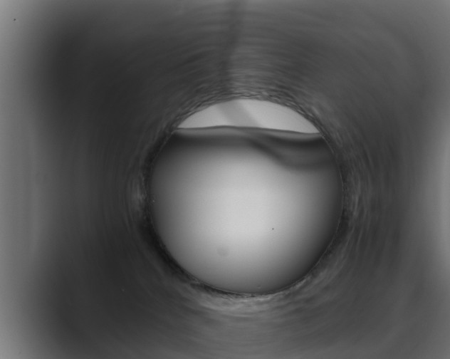 X0000089890040200706281119