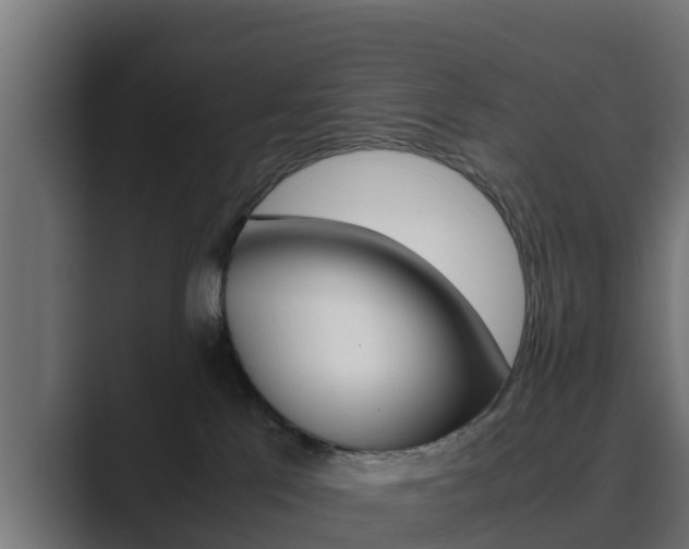 X0000089890041200706281119