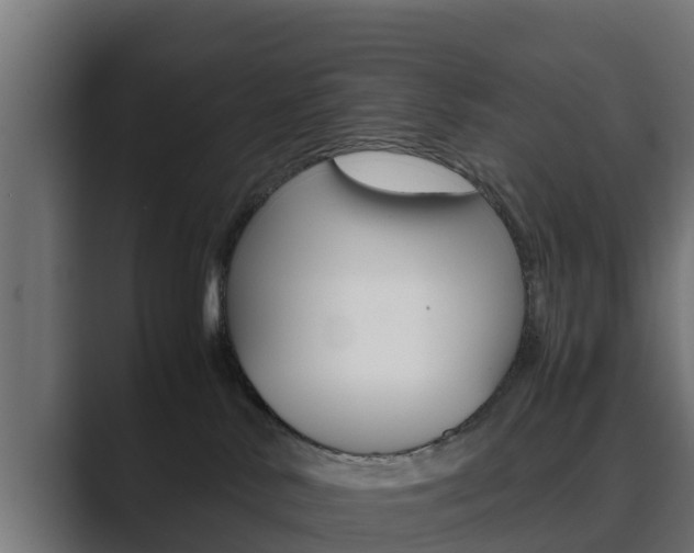 X0000089890042200706281119