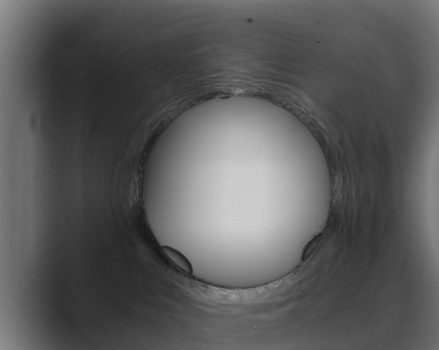 X0000089890043200706281119