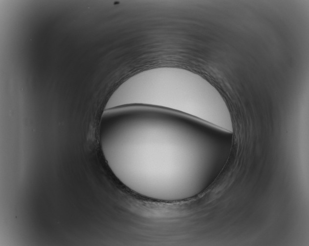 X0000089890044200706281119