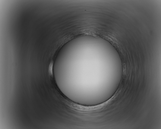 X0000089890047200706281119