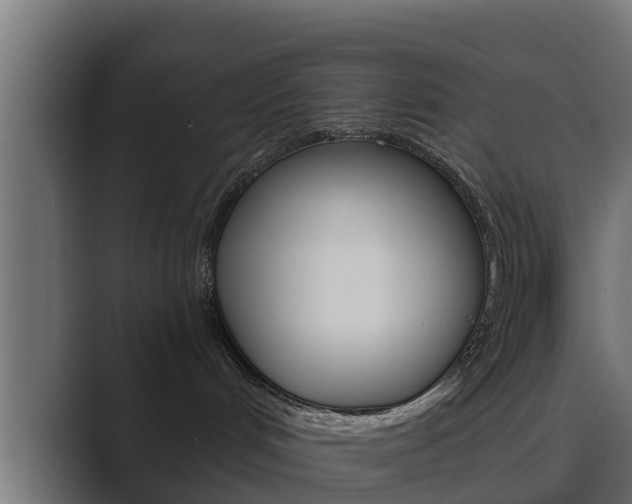 X0000089890048200706281119