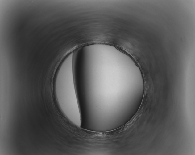 X0000089890050200706281118