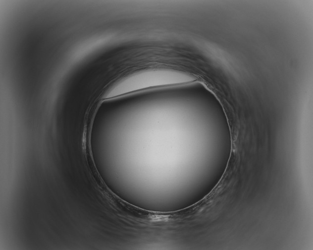 X0000089890052200706281118
