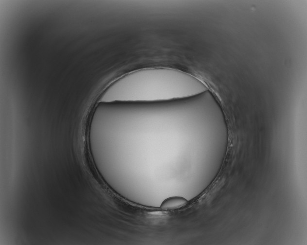 X0000089890053200706281118