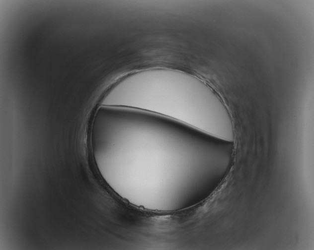 X0000089890054200706281118