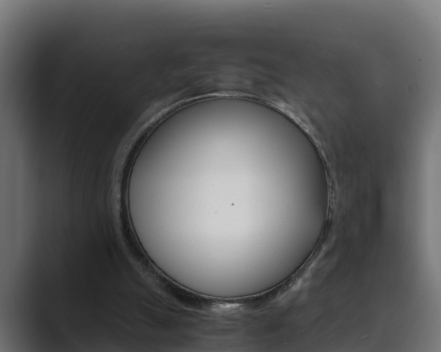 X0000089890055200706281118