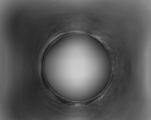 X0000089890056200706281118