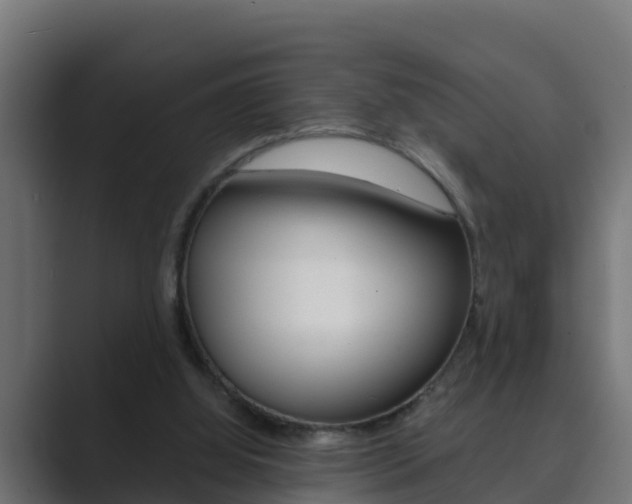 X0000089890060200706281119