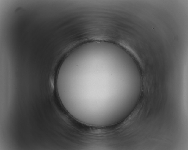 X0000089890062200706281119