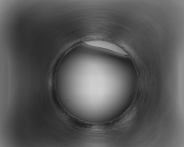 X0000089890064200706281119