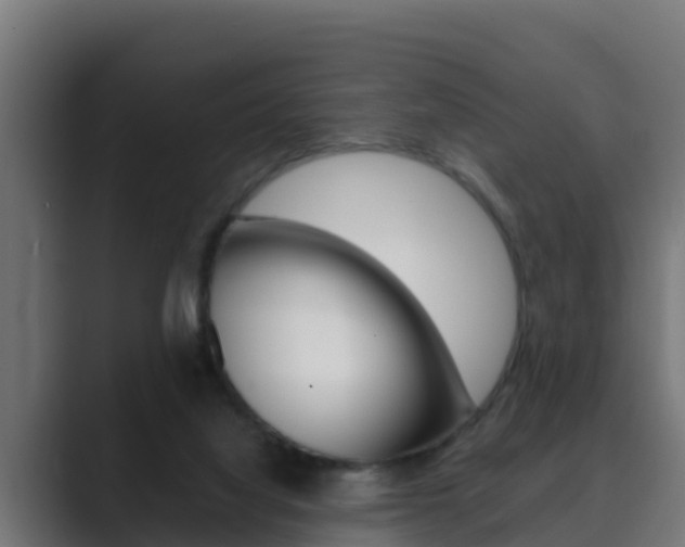 X0000089890068200706281119