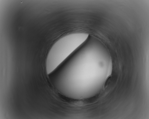 X0000089890075200706281119