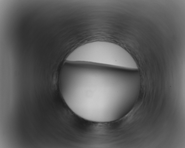 X0000089890082200706281119