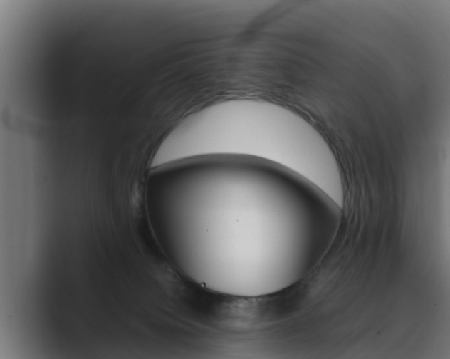 X0000089890084200706281119
