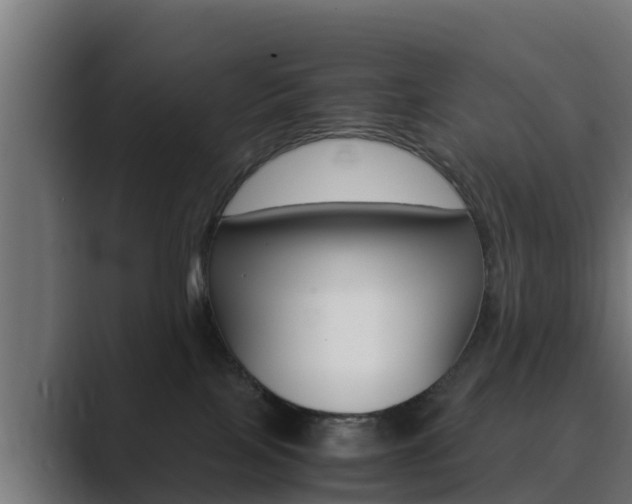 X0000089890089200706281119