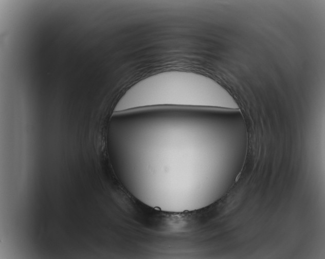 X0000089890091200706281119