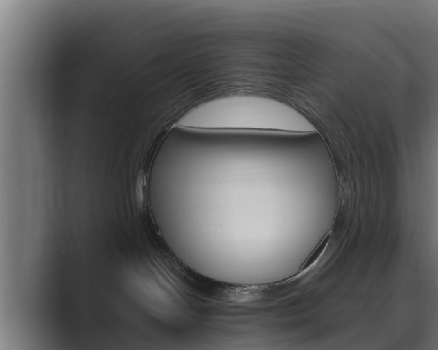 X0000089890094200706281119