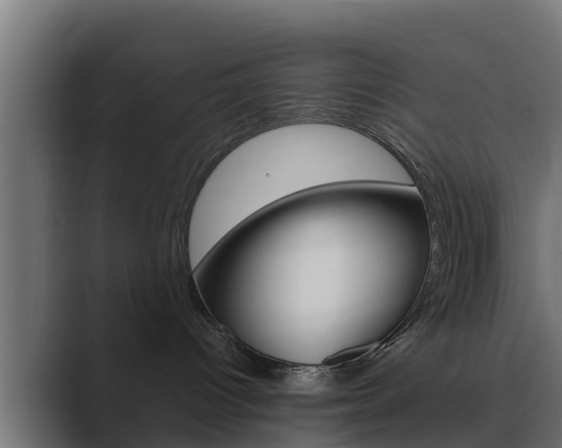 X0000089890096200706281119