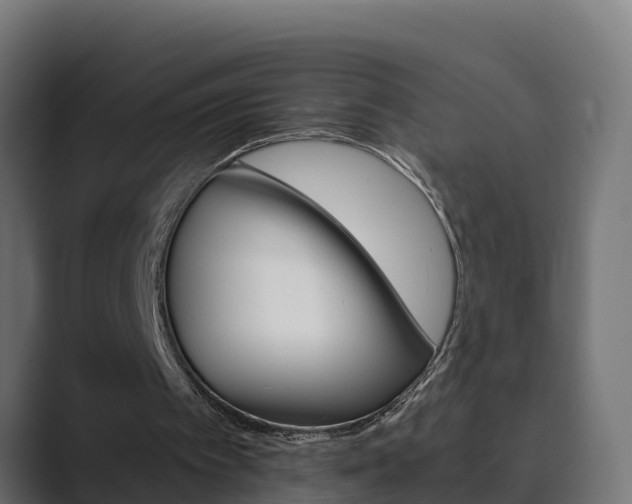 X0000089890097200706281118