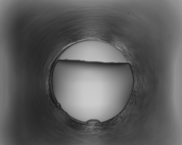 X0000089890098200706281118