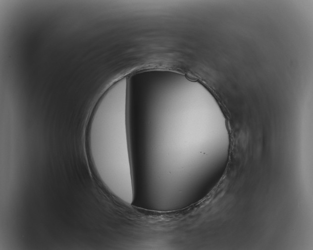 X0000089890100200706281118