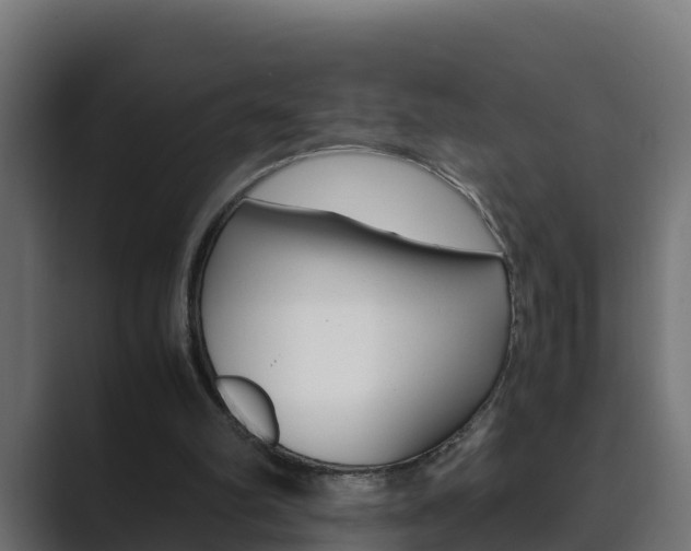 X0000089890102200706281118