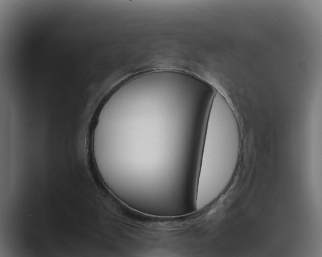 X0000089890103200706281118