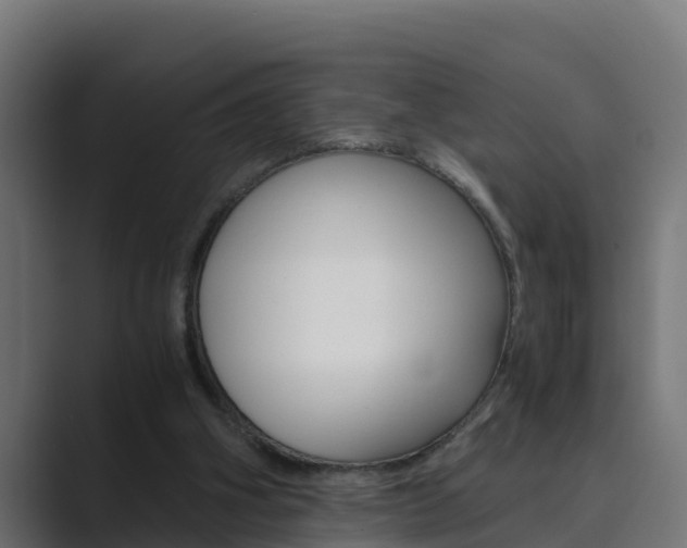 X0000089890106200706281118