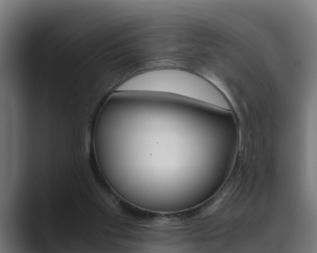 X0000089890109200706281118