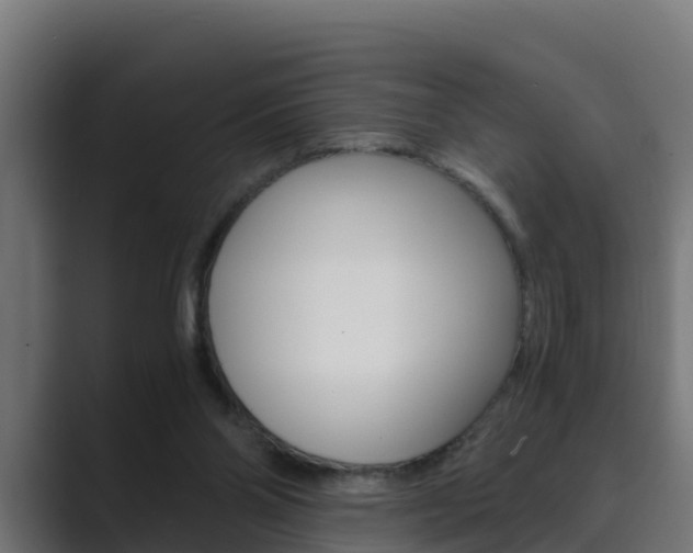 X0000089890110200706281118