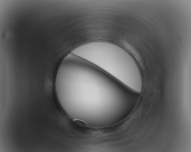 X0000089890113200706281118