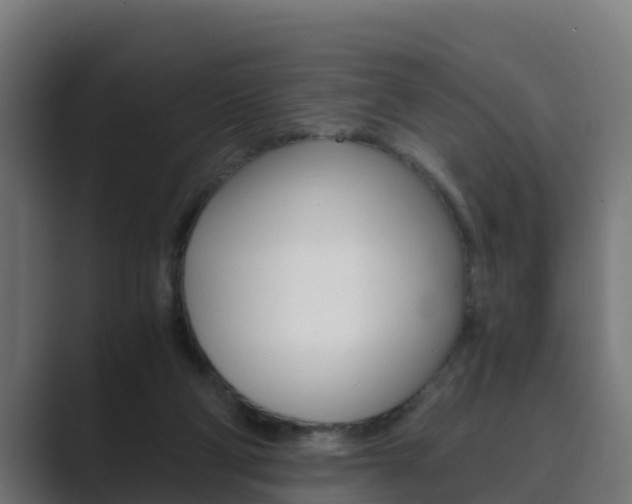 X0000089890114200706281118