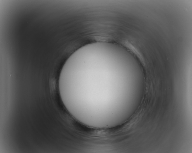 X0000089890117200706281118