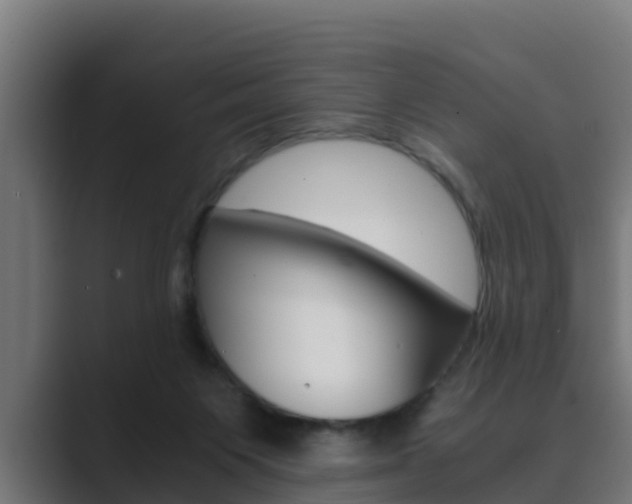 X0000089890119200706281118