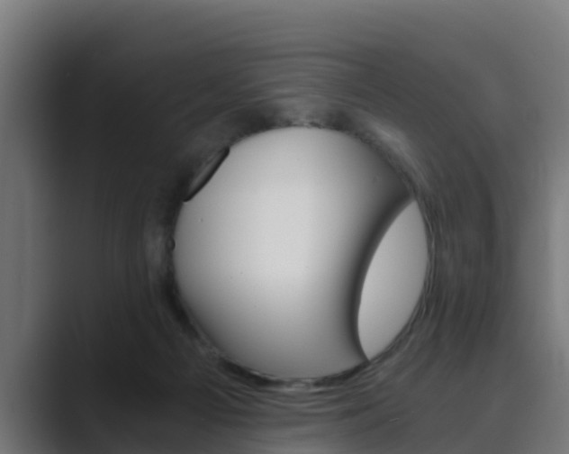 X0000089890121200706281118