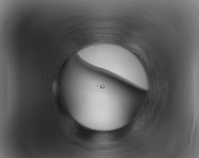 X0000089890123200706281118