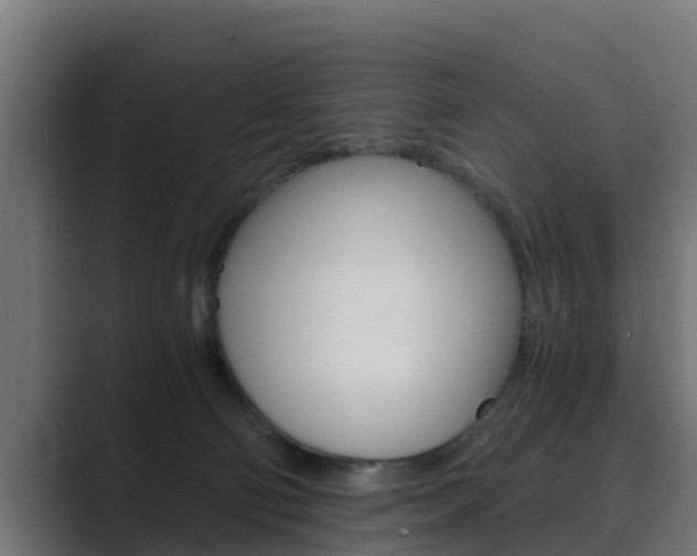 X0000089890130200706281118