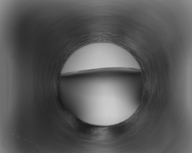 X0000089890132200706281118