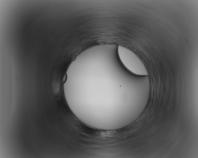 X0000089890134200706281118
