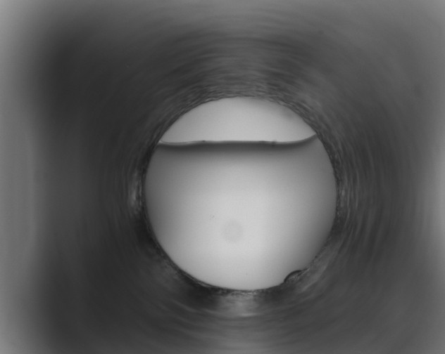 X0000089890138200706281118