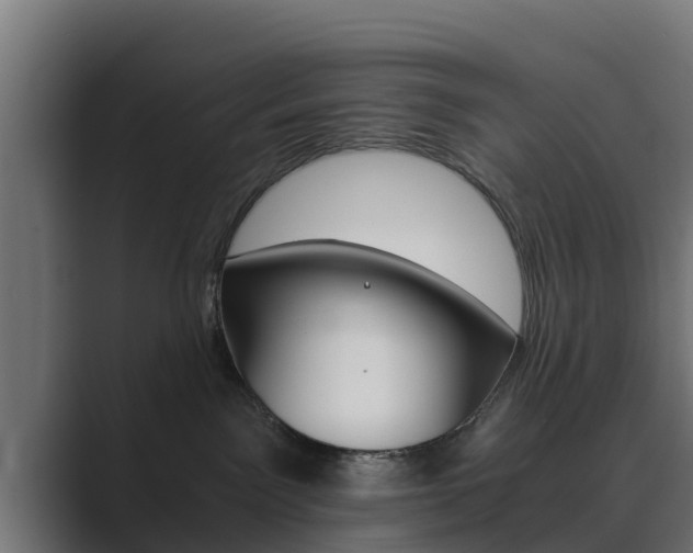 X0000089890141200706281118