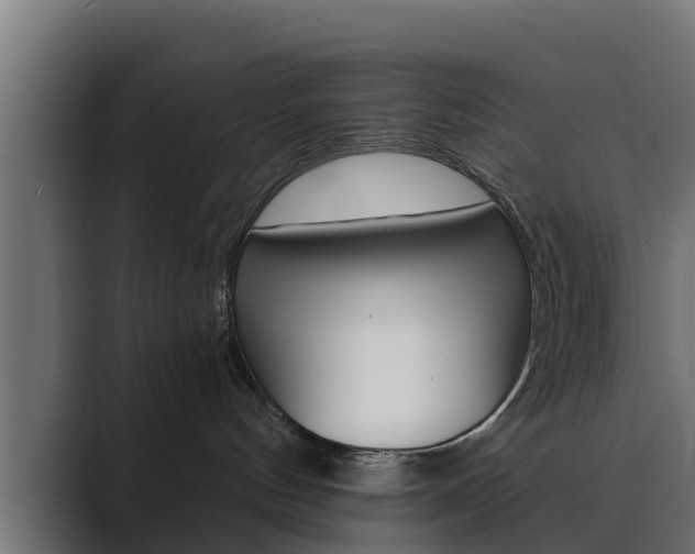 X0000089890144200706281118