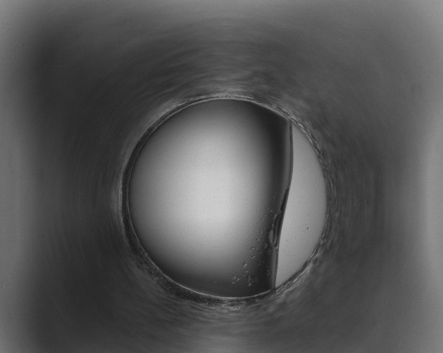 X0000089890148200706281117