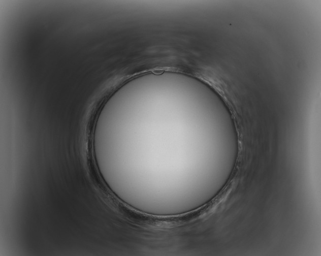 X0000089890149200706281117