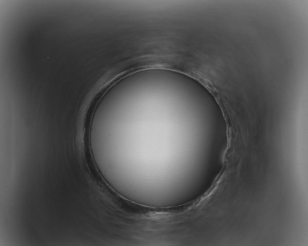X0000089890150200706281117