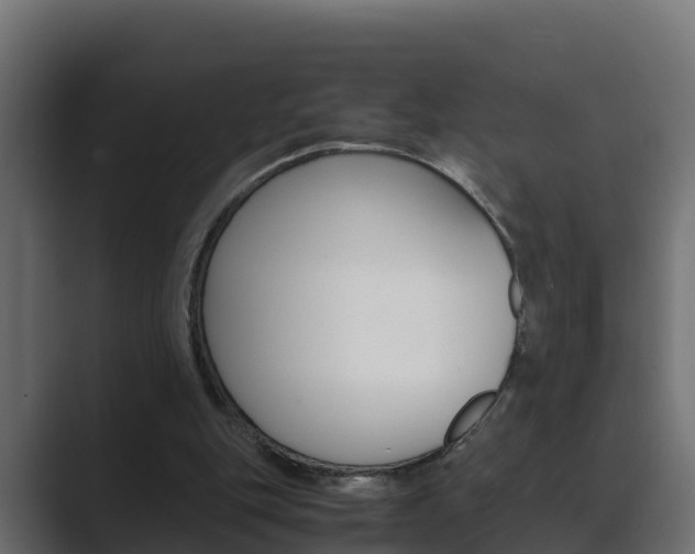 X0000089890151200706281117